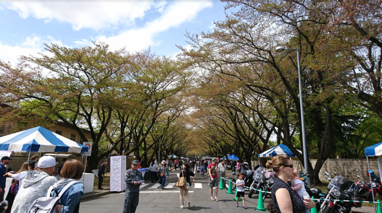 横田基地 サクラ・スプリング・フェスティバル 2023開催！ －Yokota Sakura Spring Festival－ | 座木ブログ